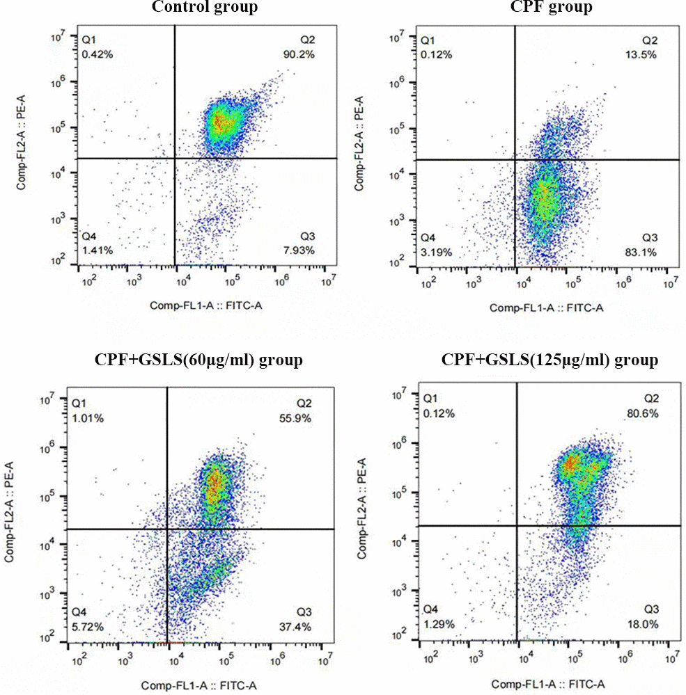 Detection results of mitochondrial potential (ΔΨm). The ΔΨm in each group stained with JC-1 and calculated the fluorescence by flow cytometry.