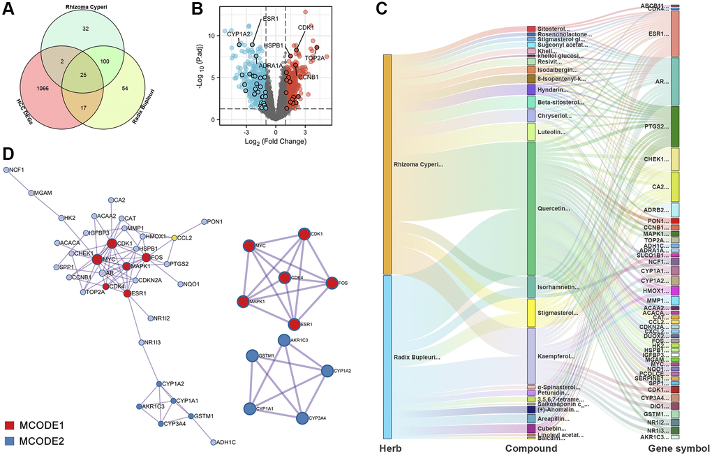 PPI and H-C-T network analysis of 44 potential therapeutic targets for CXP in HCC. (A) Venn diagram. (B) The distribution of 44 potential therapeutic targets of CXP in the treatment of HCC in the volcano plot of DEGs in HCC. (C) H-C-T network analysis. (D) PPI network and gene clustering analysis (Metascape web tool).