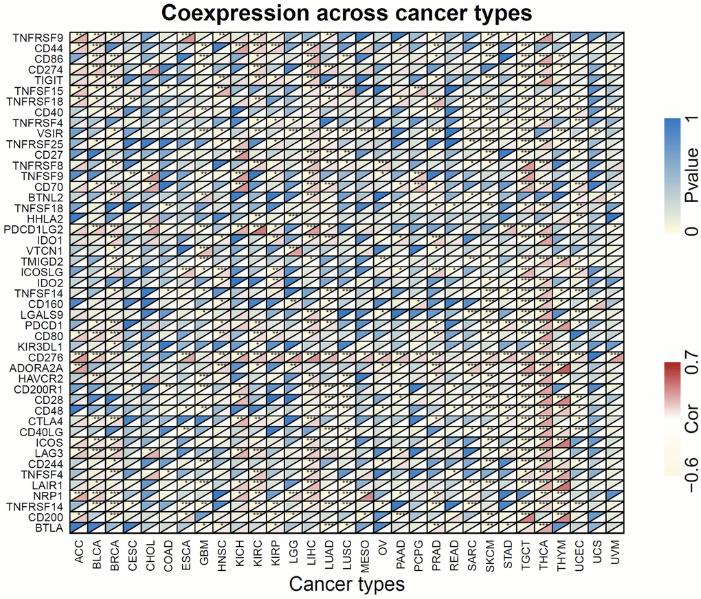 Heatmap of the association of FOXM1 expression with 47 common immune checkpoints gene levels in 31 types of cancers. For each pair, the top left triangle represents the P-value, and the bottom right triangle represents the correlation coefficient. *p **p ***p 