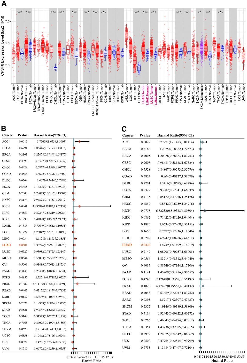 Pan-cancer analysis of CPSF6. (A) Differential expression status of CPSF6 in pan-cancer, ***PB) Hazard ratio of CPSF6 about overall survival in pan-cancer. (C) Hazard ratio of CPSF6 about disease specific survival in pan-cancer.