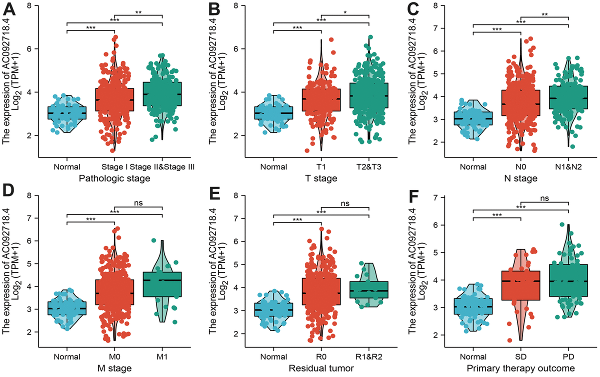 A Novel Long Noncoding RNA AC092718.4 As A Prognostic Biomarker And ...