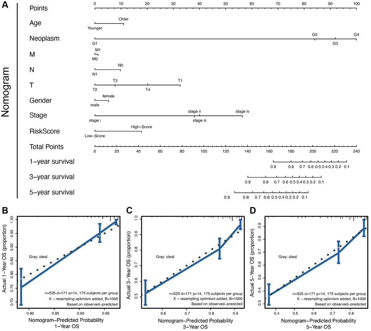 fatty-acid-metabolism-related-signature-predicts-survival-in-patients