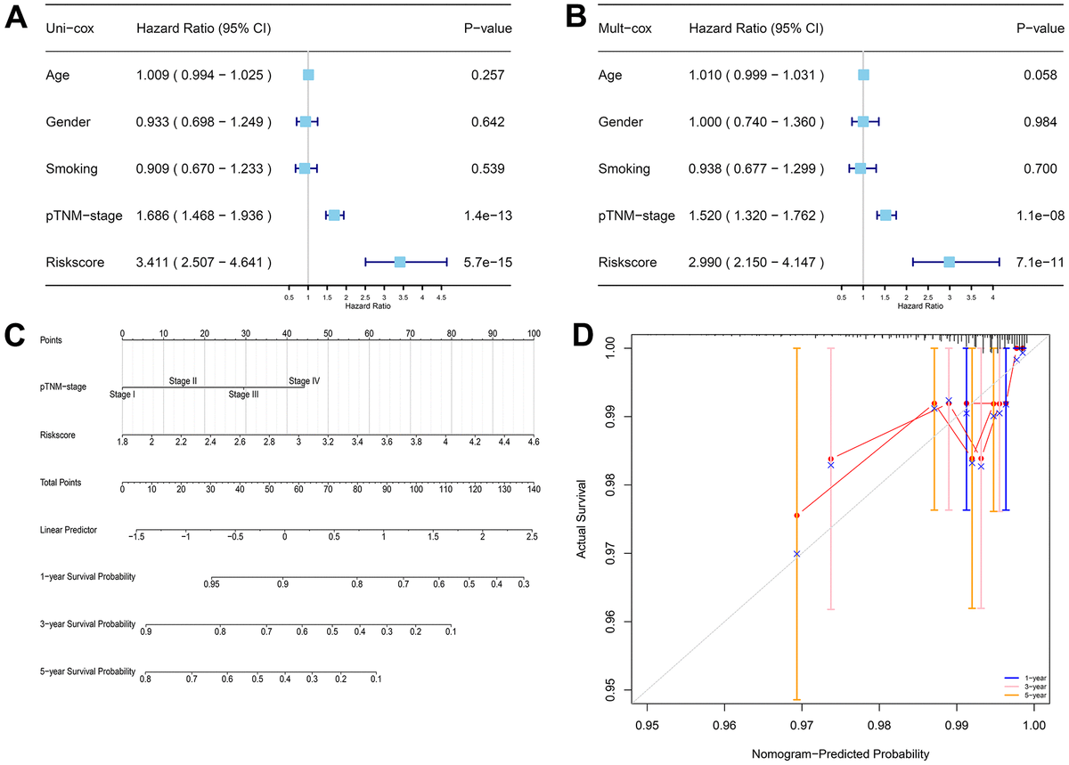 Identification And Integration Analysis Of A Novel Prognostic Signature