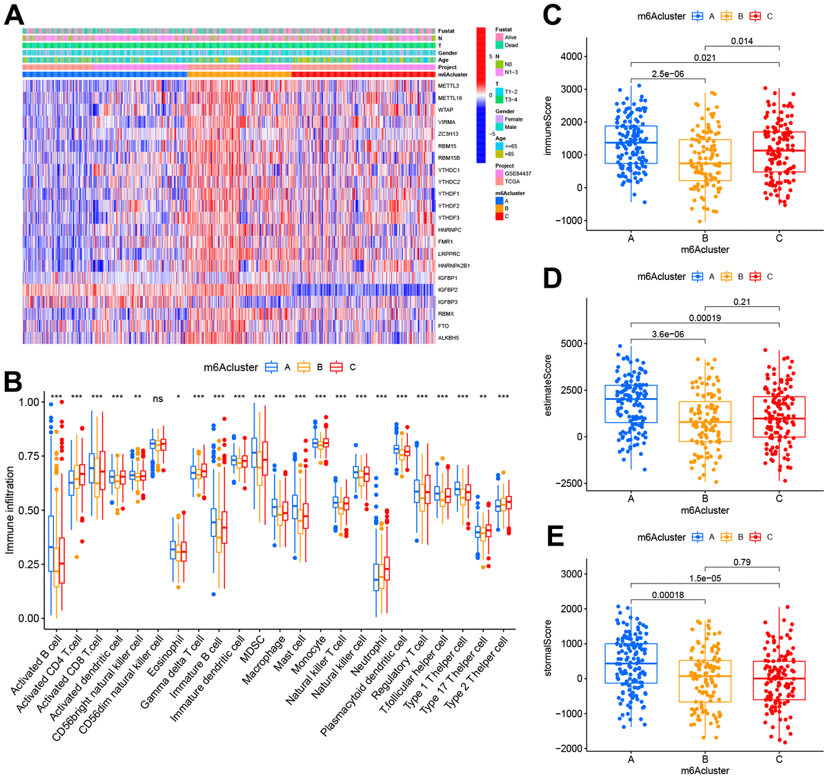 Development A M6a Regulators Characterized By The Immune Cell