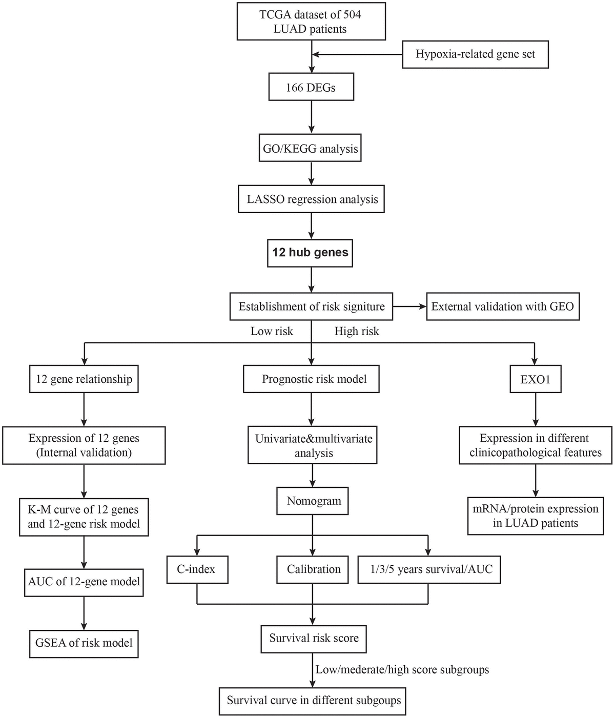 Construction And Validation Of A Hypoxia Related Risk Signature