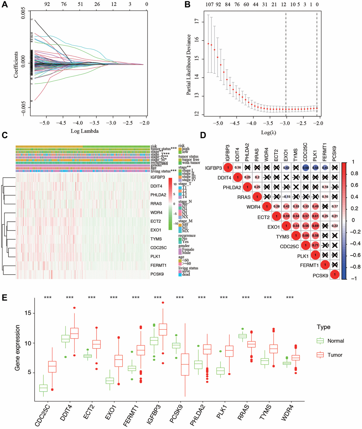 Construction And Validation Of A Hypoxia Related Risk Signature