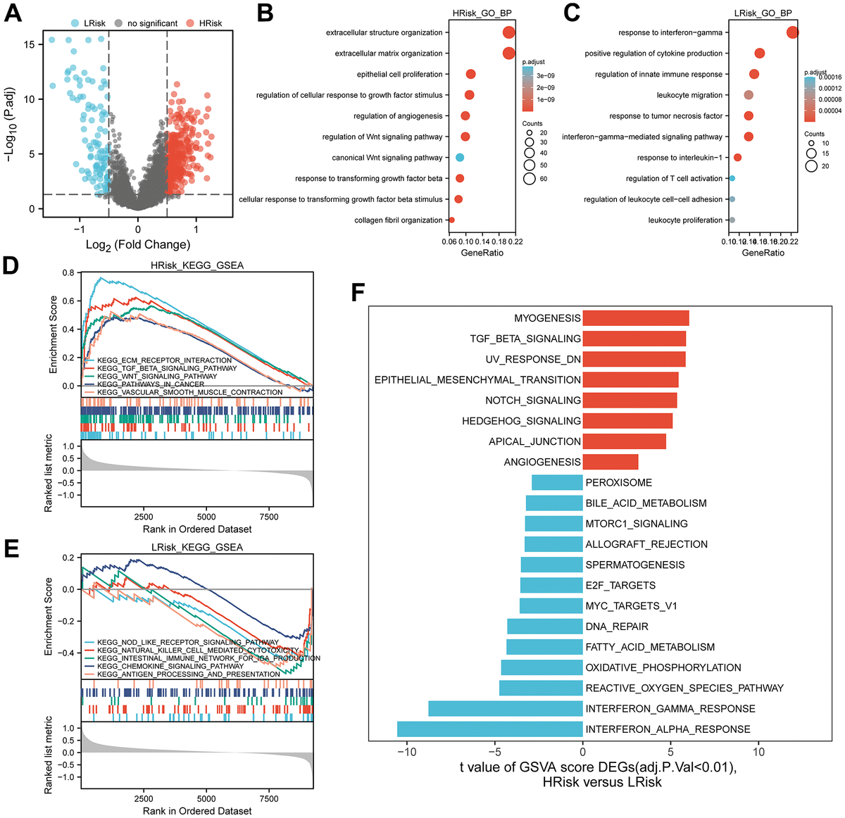 Development And Validation Of A Novel Anoikis-related Gene Signature ...