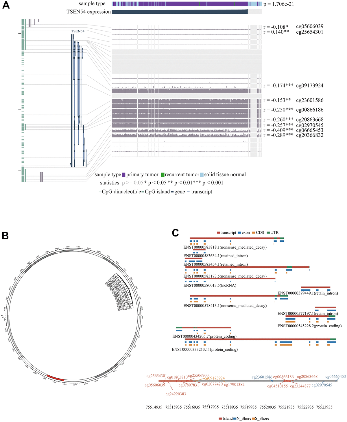 Comprehensive Analysis Reveals TSEN54 As A Robust Prognosis Biomarker ...