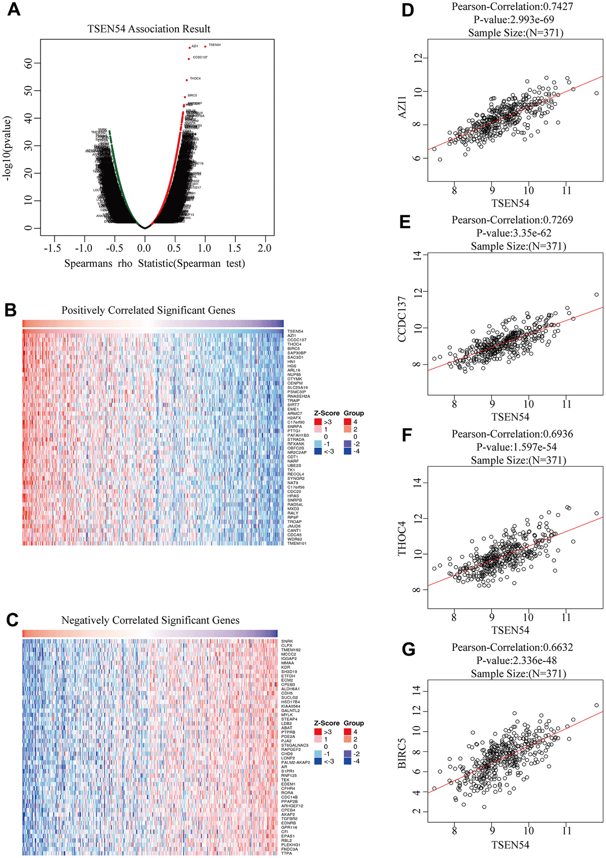 Comprehensive Analysis Reveals TSEN54 As A Robust Prognosis Biomarker ...