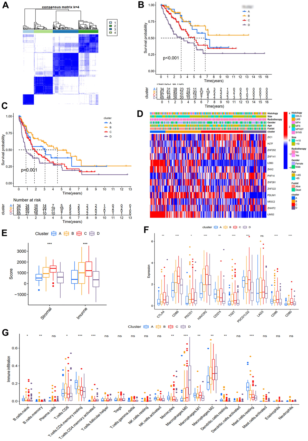 Development and validation of novel prognostic models for zinc finger ...