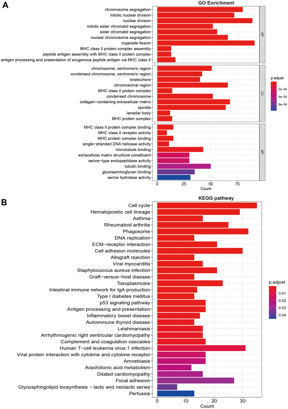 Comprehensive Analyses Reveal The Prognosis And Biological Function Roles Of Chromatin