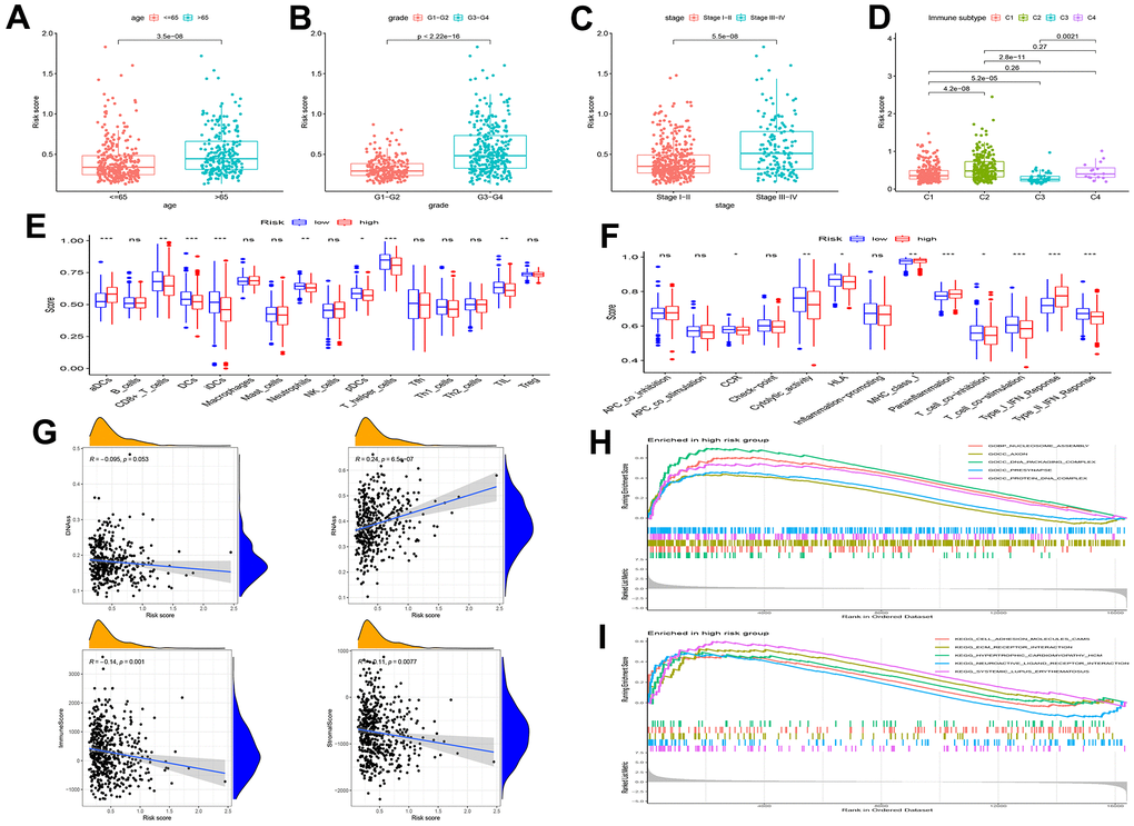 Gene set enrichment analysis (GSEA) of biological functions and the association between risk score and tumor microenvironment. The risk score in different groups divided by age (A), grade (B), stage (C) and immune subtype (D). Comparison of the risk score in different immune infiltration. (E, F) The relationship between risk score and the scores of 16 immune cells and 13 immune-related functions were showed in boxplots. (G) The relationship between risk score and DNAss, RNAss, Stromal Score and Immune Score. (H, I) GSEA showed eleven pathways enriched in the high-risk group. P values were showed as: ns, not significant; *P 