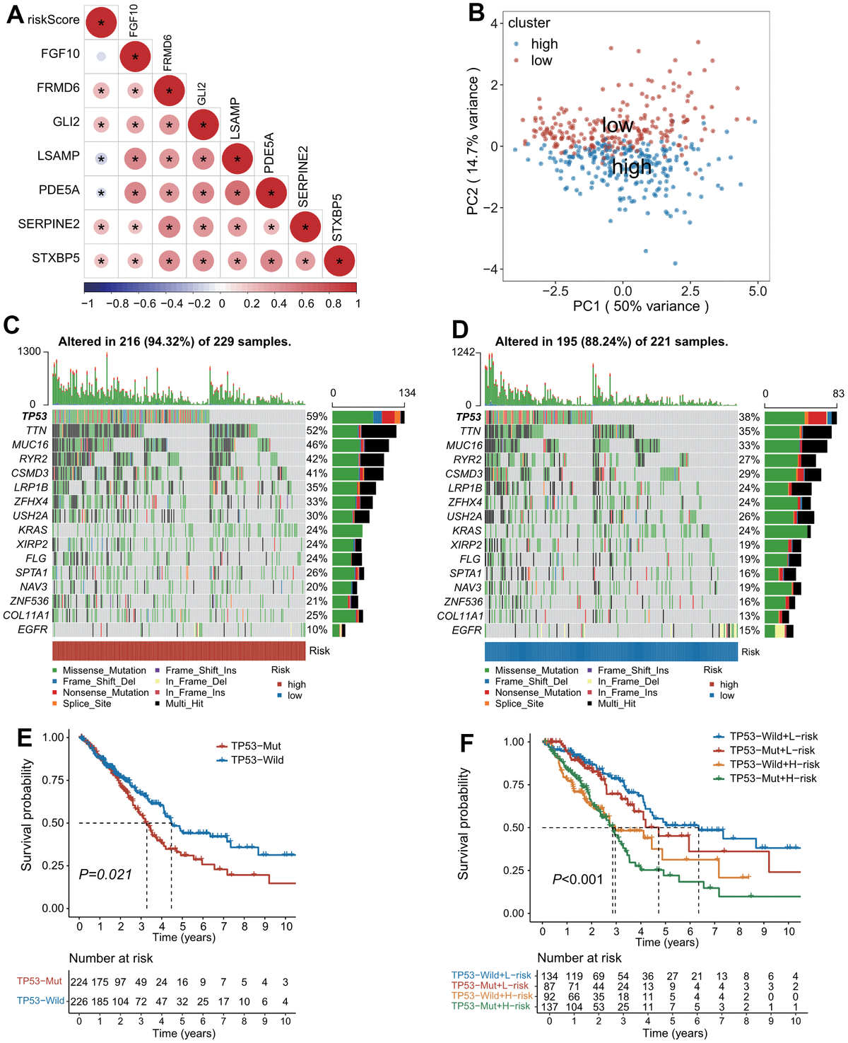 Development of cancer-associated fibroblast-related gene signature for ...