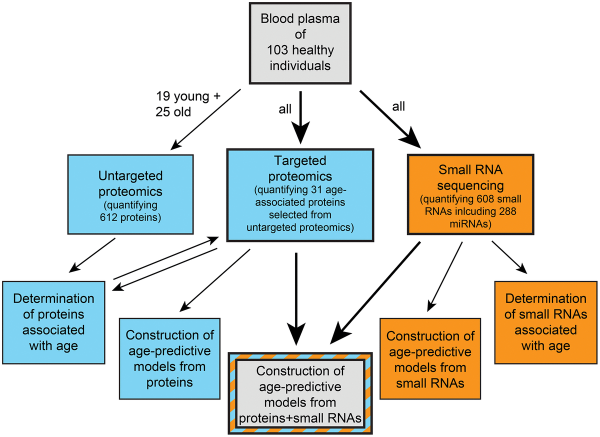 Age Prediction From Human Blood Plasma Using Proteomic And Small RNA ...