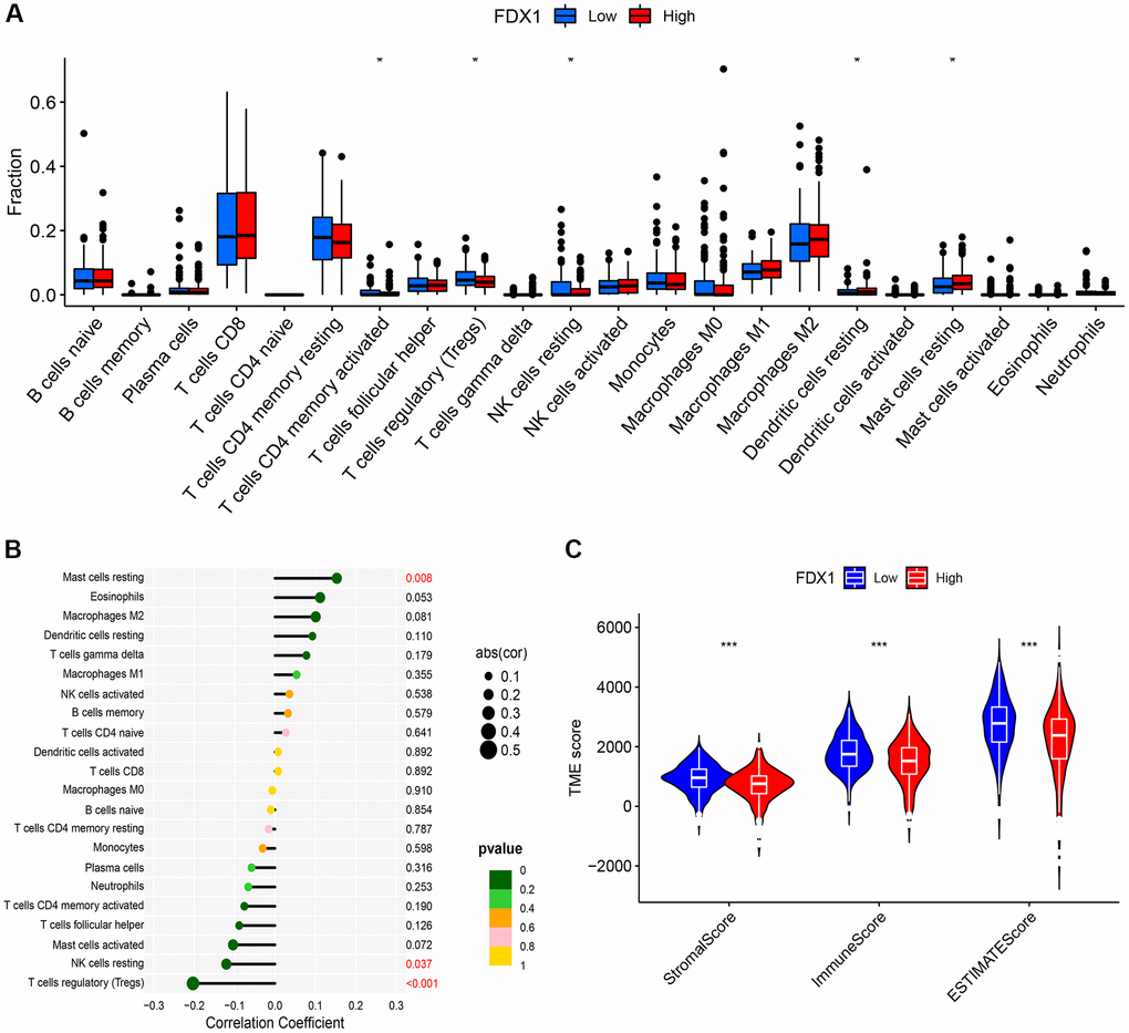 Immune infiltration and immune microenvironment of FDX1. (A) Boxplot showing the difference between the high- and low-expression of FDX1 groups referring to the proportion of 22 immune cells in KIRC tumor tissue. (B) Lollipop plot of correlation between FDX1 and 22 immune cells in TCGA cohort. (C) Violin graph showing the relationship between FDX1 expression and TME.