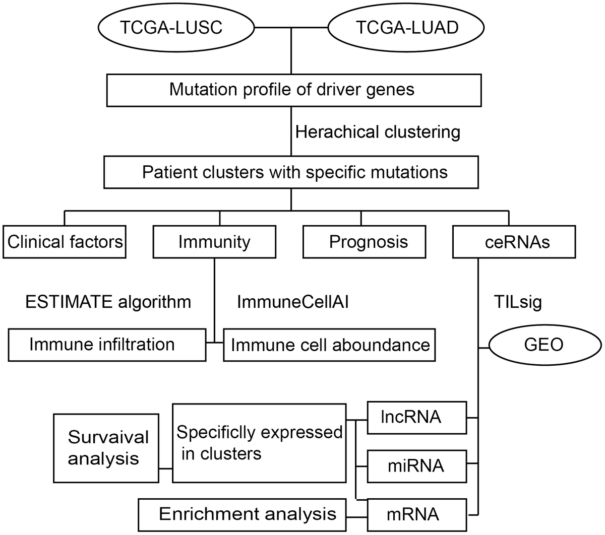 Identification of prognosis value and immune microenvironment features ...