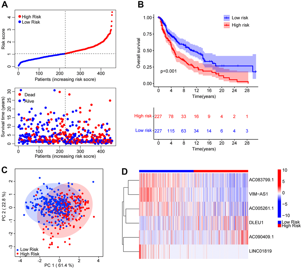 Risk model construction based on the prognostic ARLs in CM. (A) The distribution of the CM patients and the scatter dot plot shows the correlation between the risk score and survival time in CM. (B) The Kaplan-Meier survival curve shows that the OS rate of patients in the low-risk group is remarkably higher than those in the high-risk group. (C) It is illustrated that there is a clear distribution of patients in the low- and high-risk group based on the prognostic ARLs by principal component analysis (PCA). (D) The expression of the prognostic anoikis-related lnc7RNAs in the low- and high-risk group can be reflected by the heatmap diagram.