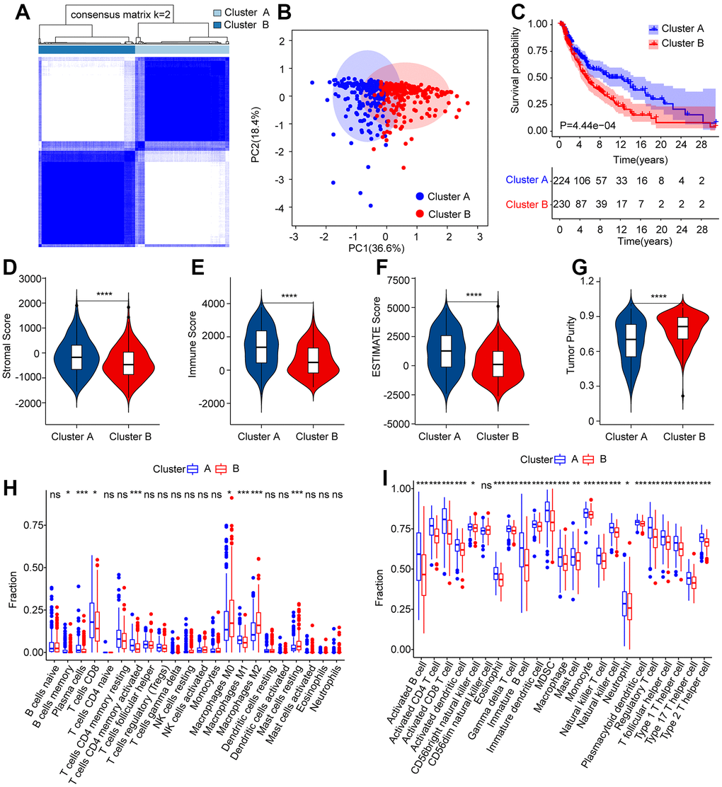 Consensus clustering analysis of CM patients based on the prognostic ARLs. (A) The consensus clustering heatmap shows the optimal classification when K = 2-9. (B) Principal component analysis clearly demonstrates a obvious distinction between the CM patients in Cluster A and Cluster B based on the prognostic ARLs. (C–G) The stromal, immune, ESTIMATE score and tumor purity of patients in Cluster A and Cluster B. (H) The fraction of 22-type immune cells of patients in Cluster A and Cluster B via CIBERSORT algorithm. (I) The fraction of 23-type immune cells of CM patients in Cluster A and Cluster B via the ssGSEA algorithm.