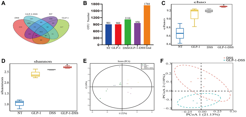 The effect of GLP-1 on microbial diversity. (A) OTU Venn chart. (B) The histogram of OTU number (Numbers show the total number of OTUs in each group). The α-diversity shows the community richness estimated with Chao 1 index (C) and Shannon index (D); the β diversity shows the diversity of bacteria in the cecum through PCA (E) and PCoA (F) analysis. For GLP-1-DSS vs. DSS group, *p 