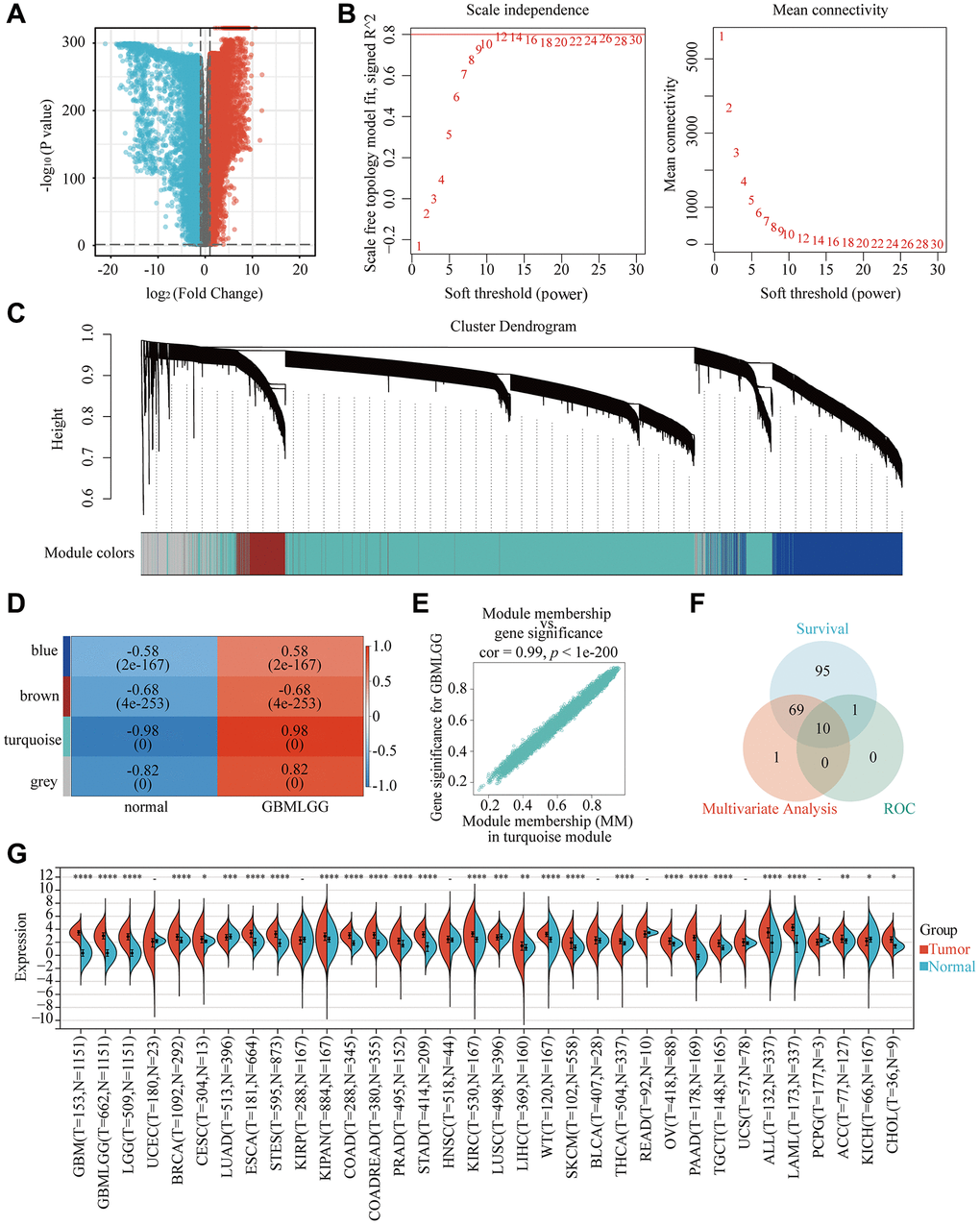 Identification of the key gene modules in WGCNA. (A) Volcano map showed differentially expressed genes. (B) Determination of the soft-thresholding power. (C) Dendrogram of differentially expressed genes clustered based on a dissimilarity measure (1-TOM). (D) The correlation of gene modules with clinical traits. (E) Gene correlation scatter plot of the turquoise module. (F) The Venn diagram showed WGCNA combined genetic features to screen out 10 genes. (G) The expression of RP2 in 34 kinds of cancers.