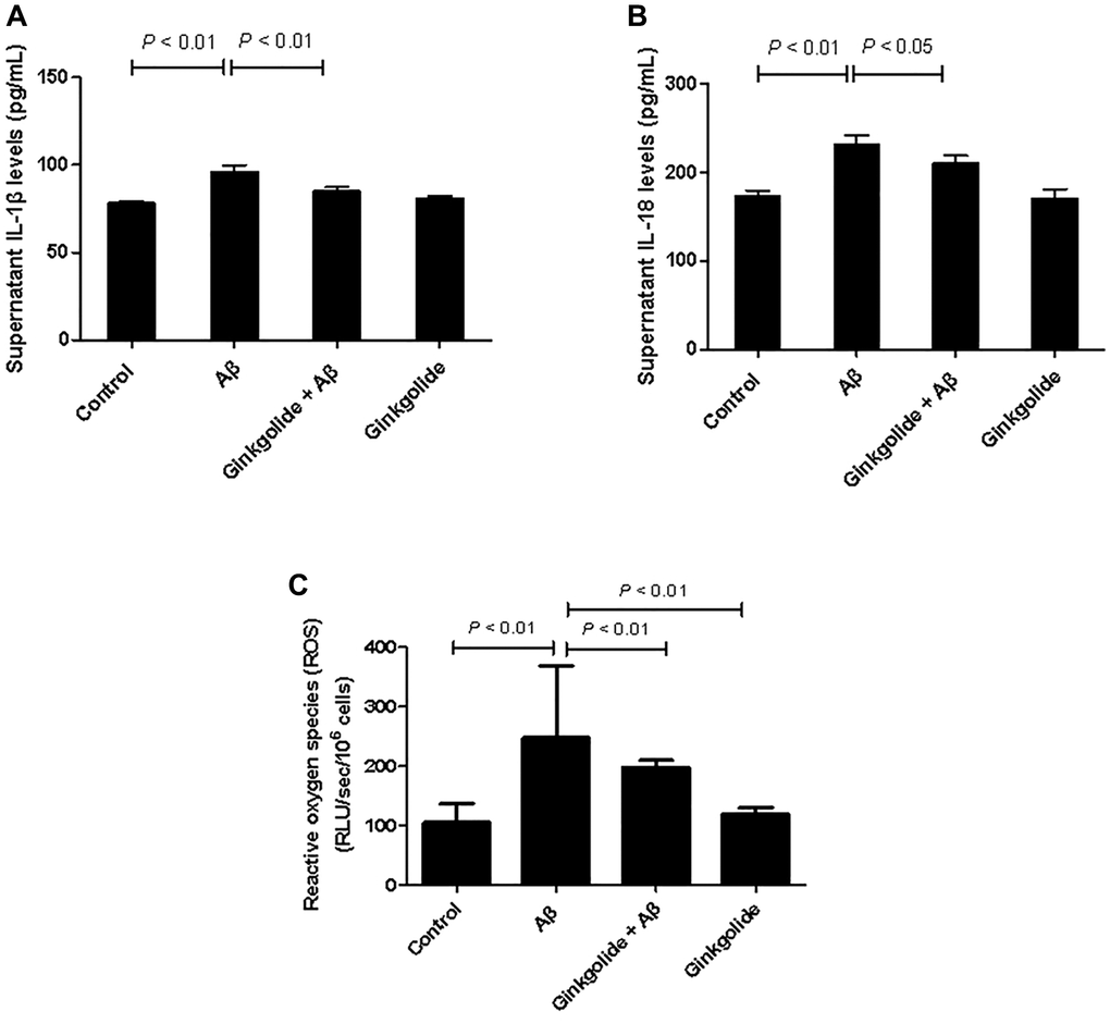 Effects of ginkgolide on supernatant levels of (A) interleukin (IL)-1β, (B) IL-18, and on (C) production of reactive oxygen species (ROS) in BV-2 cells. Data are presented as mean ± standard deviation.