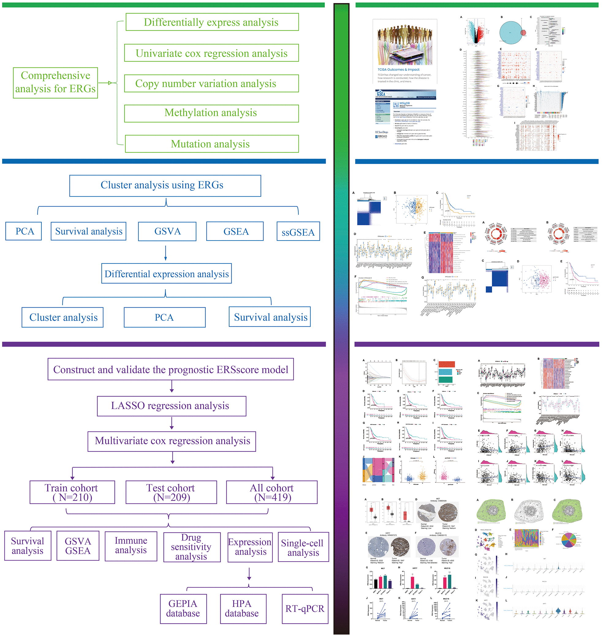 class="figure-viewer-img"