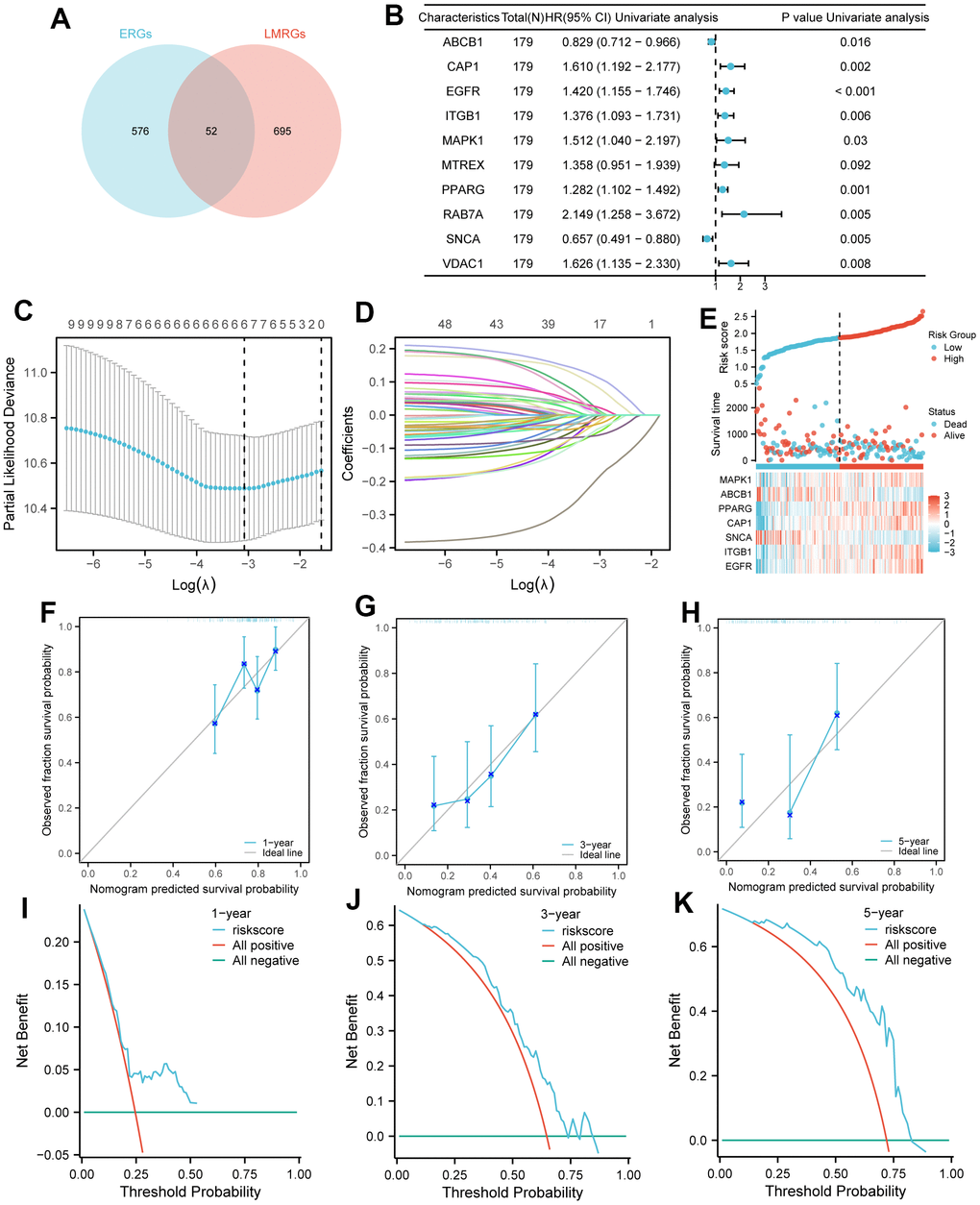 Model establishment for prognosis. (A) Venn diagram: the blue circle on the left includes the 576 ERGs, the red circle on the right includes the 695 LMRGs, and the intersection of the two circles includes the 52 EALMRGs. (B) Forest plot to show the result of univariate Cox regression analysis. (C) The confidence interval under each lambda. (D) The changing trajectory of each independent variable. (E) Risk score nomogram consists of 3 parts, including risk group, survival outcomes, and heatmap. (F–H) The calibration curves of the nomogram are at 1-year (F), 3-year (G), and 5-year (H), respectively. The X-axis in curves represented nomogram predicted survival probability and Y-axis represented observed fraction survival probability. (I–K) DCA diagrams of the models for 1-year (I), 3-year (J), and 5-year (K), respectively. The X-axis in DCA diagrams represents Threshold Probability and the Y-axis represents Net Benefit. LASSO, Least absolute shrinkage and selection operator; TCGA, The cancer genome atlas; OS, Overall survival; DCA, decision curve analysis; LASSO, least absolute shrinkage and selection operator.