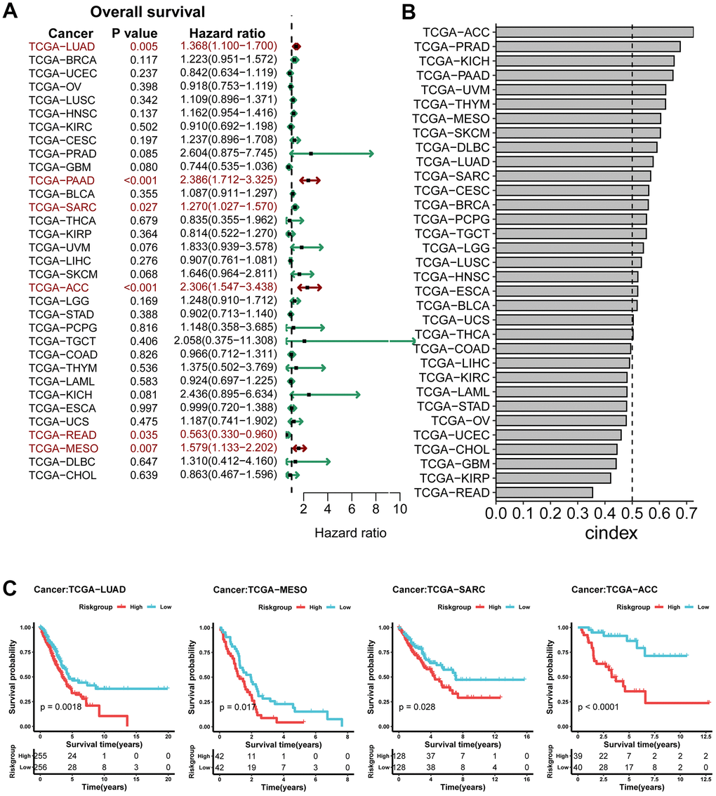 Analysis of prognostic value of risk model in pan-cancer. (A) Analysis of the relationship between survival model and OS in pan-cancer; (B) Cindex of survival model on pan-cancer; (C) KM curves of TCGA-LUAD, TCGA-MESO, TCGA-SARC, TCGA-ACC.