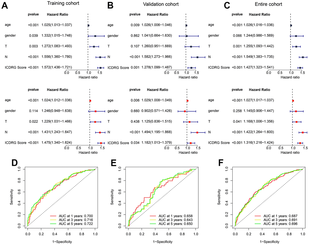 Independent prognostic analysis of ICDRG score and clinicopathological features in GC. (A–C) The univariate and multivariate Cox analysis of ICDRG score and clinical features for GC in the training, test and entire cohorts. (D–F) ROC analysis of 1-, 3-, and 5-years in the training, test and entire cohorts.