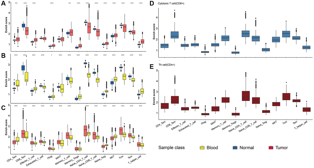 T cell subpopulation analysis. (A–C) The abundance of 17 T cell subpopulations in three NSCLC samples. Comparisons between two groups were calculated based on Student’s t test. (D, E) The abundance of CD4+ and CD8+ T cell subpopulations in 17 T cell subpopulations.