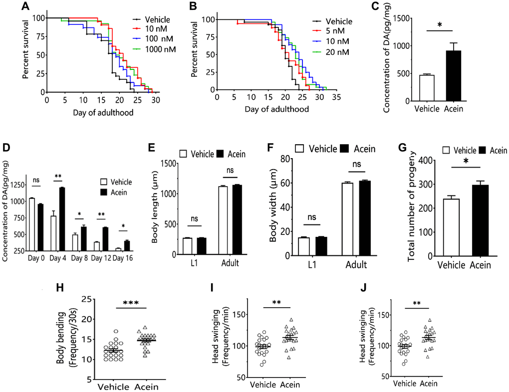 Acein regulates aging by influencing dopamine level. (A) Survival curve of 10 nM, 100 nM and 1000 nM Acein groups. (B) Survival curve of 5 nM, 10 nM and 20 nM Acein groups. (C) Dopamine content in C.elegans after 48 h of 10 nM Acein treatment. (D) Change of dopamine level in C. elegans with age after treatment with 10 nM Acein. (E) C.elegans body length after treatment with 10 nM Acein. (F) C. elegans body width after treatment with 10 nM Acein. (G) C.elegans progeny number after treatment with 10 nM Acein. (H) Body bending detection of C.elegans after treatment with 10 nM Acein. (I) Head swing detection of C.elegans after treatment with 10 nM Acein. (J) Pharyngeal pumping detection of C.elegans. Compared with the vehicle group. nsp > 0.05, *p **p ***p 