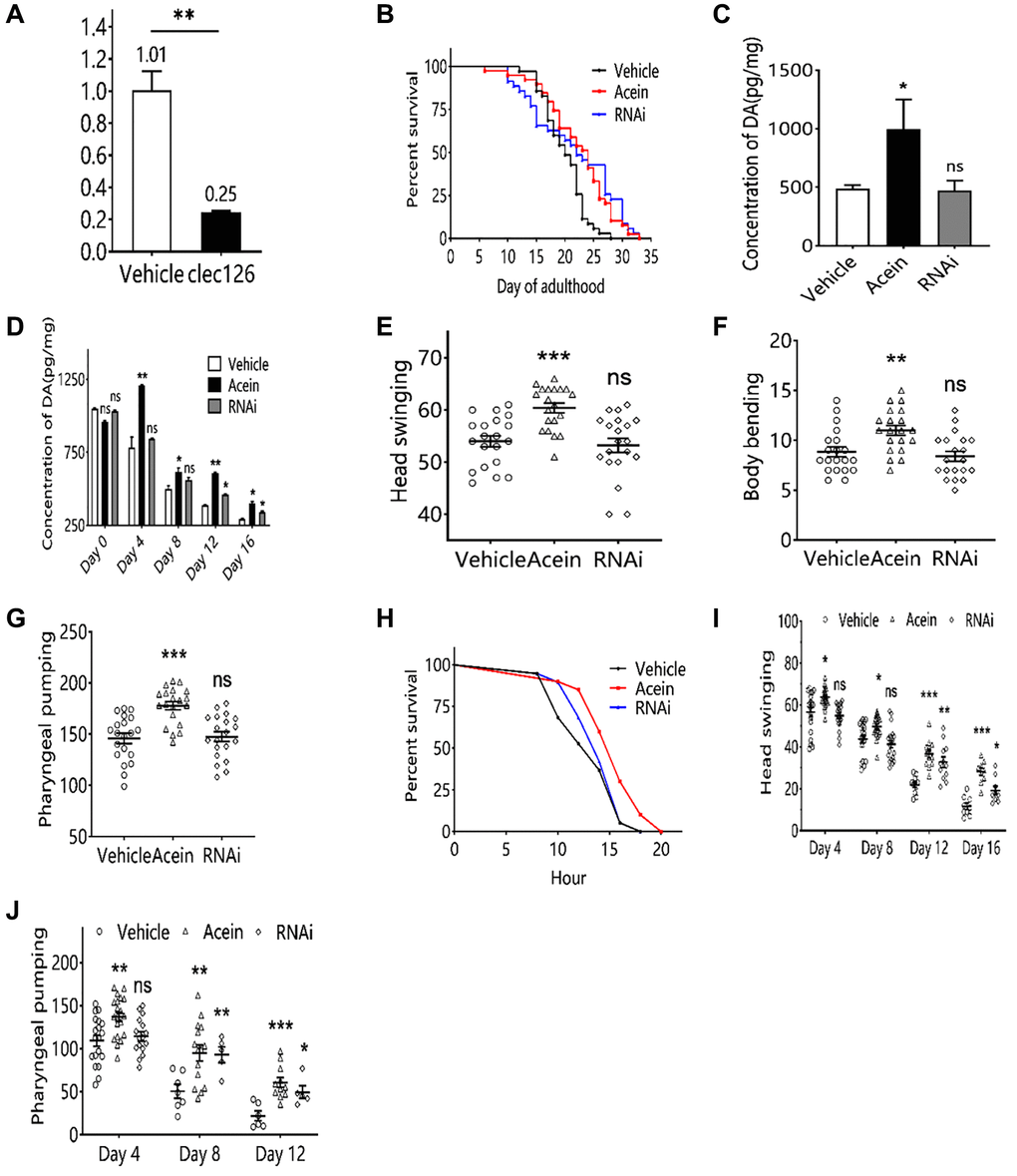 The Peptide Acein Promotes Dopamine Secretion Through Clec To Extend The Lifespan Of Elderly