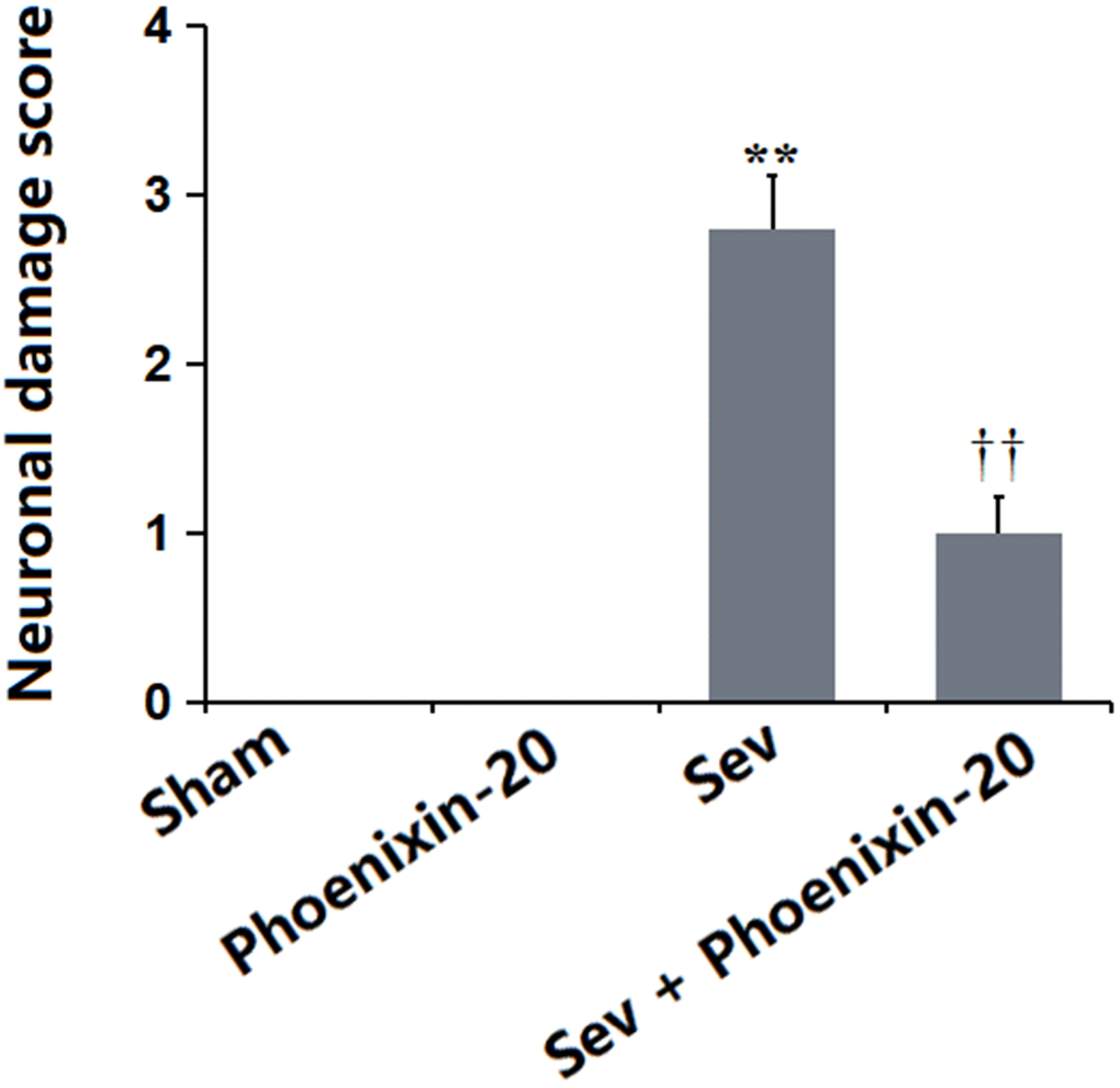 Phoenixin-20 alleviated the neurodamage in the hippocampus tissue of Sev-treated rats. Neuronal damage score (n=6, *, **, P or 0.01 vs. sham group; †, ††, P0.05 or 0.01, vs. Sev group).