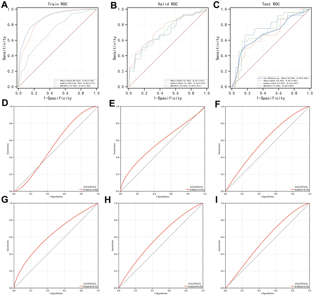 Evaluation of the stacking-based AI predictor for AMI diagnosis and comparison of its efficacy with individual genes involved (i.e., PDHB, CDKN2A, GLS, and SLC31A1) and gold standard biomarkers (i.e., TNNI3 and CKM). (A–C) ROC curve of the stacking-based AI predictor in the training set, validation set, and test set, respectively. (D–G) ROC curve of PDHB, CDKN2A, GLS, and SLC31A1, respectively. (H, I) ROC curve of TNNI3 and CKM, respectively.