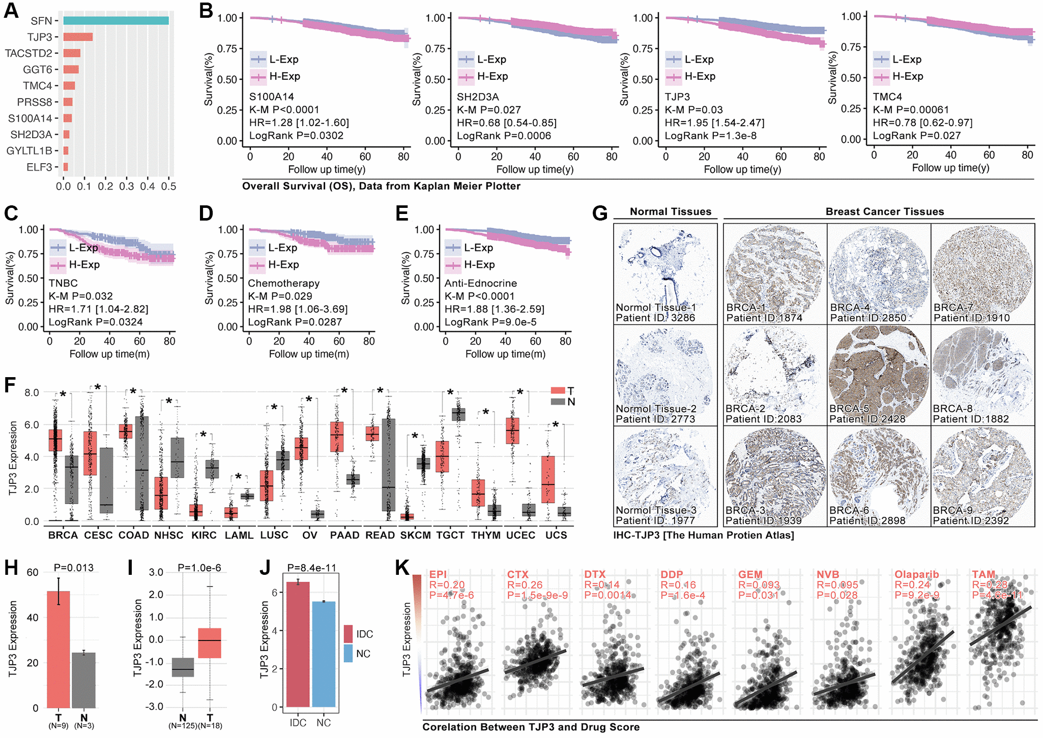 Tjp3 Promotes T Cell Immunity Escape And Chemoresistance In Breast Cancer A Comprehensive