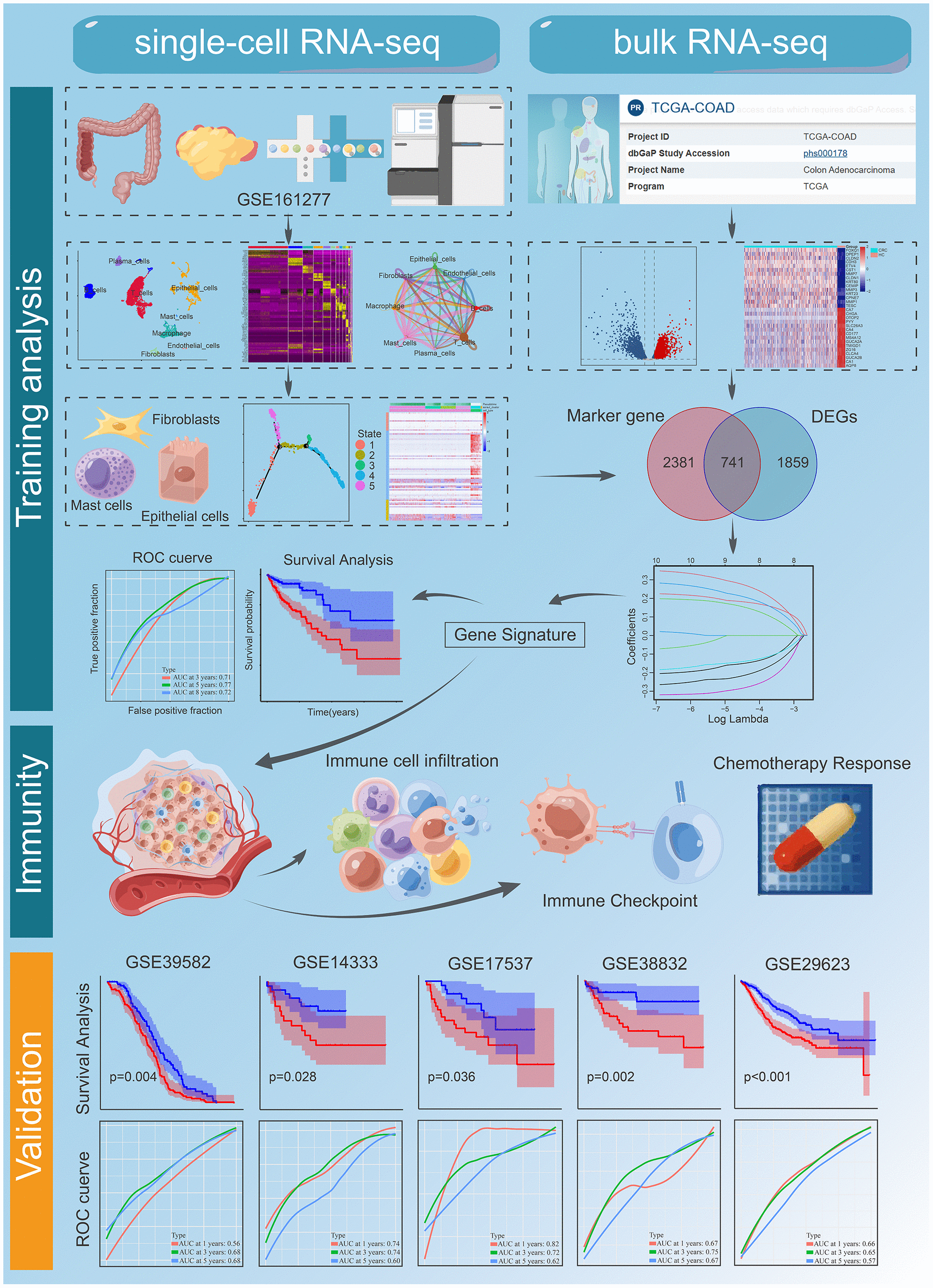 Integrating Scrna Seq And Bulk Rna Seq To Characterize Infiltrating Cells In The Colorectal