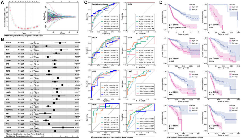 Anoikis-related genes construct prognosis model in digest system carcinomas. (A) LASSO analysis screens out (B) 26 prognosis-related ARGs, amongst which ABHD4, BMI1, BMP2, CRYAB, EPO, ERBB4, HMGA1, INHBB, INSR, KIF18A, LAMB1, LDHA, MPO, NQO1, SERPINE1, TSG101 and VEGFA are risk factors whereas ARVCF, CDH1, GDF2, GNE, PRKCQ, SIK2, TDGF1, TNF and TP53 is protective factors. (C) ROC analysis of ARGs-based prognosis model of the whole digest system cancer and single type of digest system cancer, including CHOL, COAD, ESCA, LIHC, ESCA, LIHC, PAAD, READ, STAD. (D) K-M analysis of ARGs-based prognosis model.