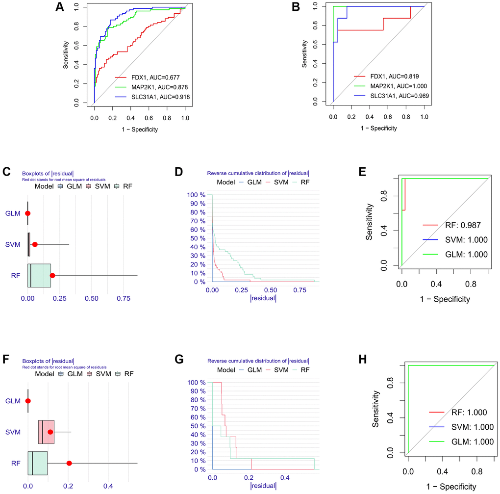 Establishment of the molecular subtype identification efficacy of three K-CRGs. (A, B) Establishment of the molecular subtype identification efficacy of three K-CRGs via ROC analysis in DCM and HCM. (C–E) The residual boxplots, cumulative residual distribution curves and ROC curves of three machine learning algorithms for DCM molecular subtype identification. (F–H) The residual boxplots, cumulative residual distribution curves and ROC curves of three machine learning algorithms for HCM molecular subtype identification.