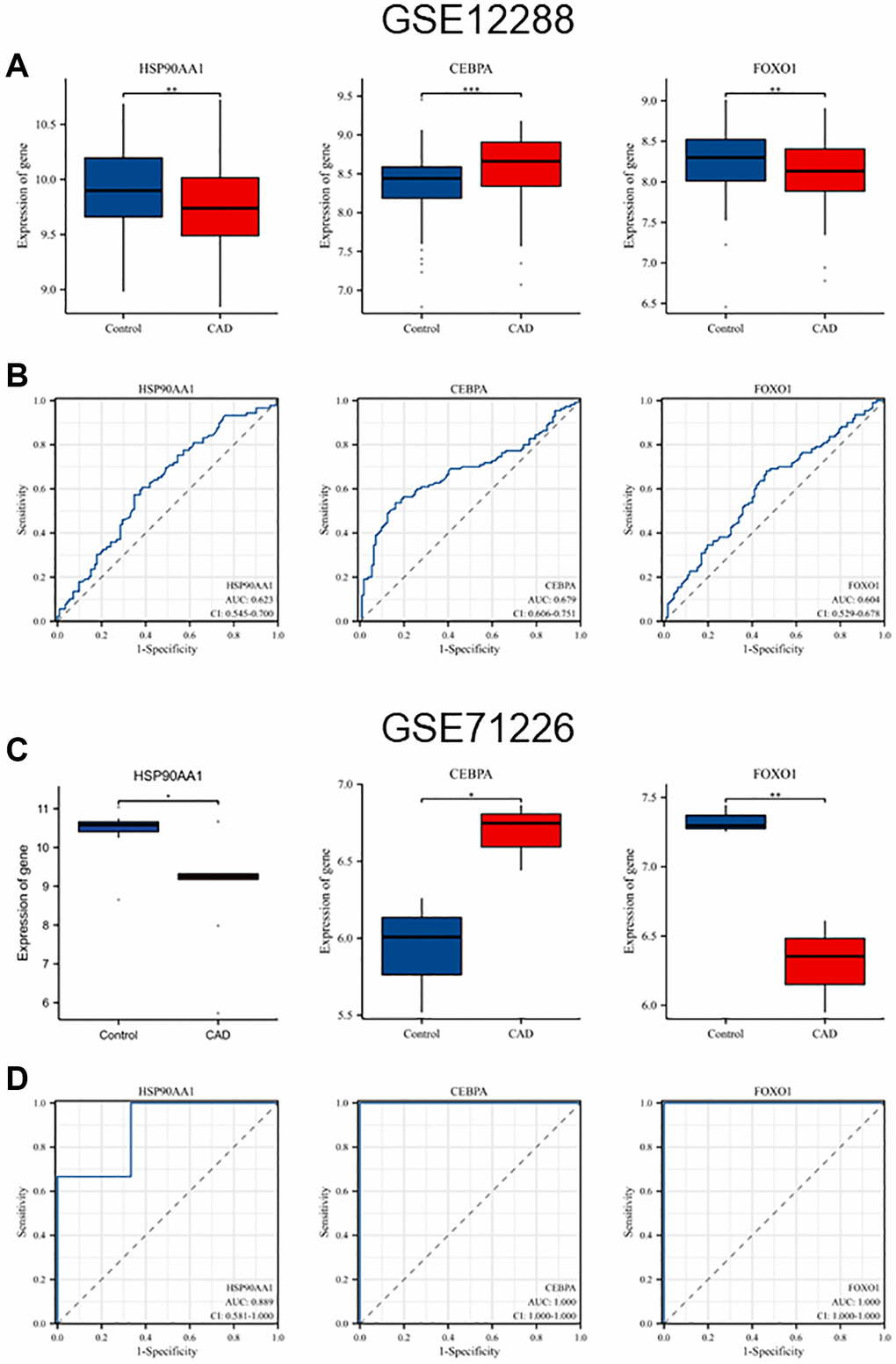 Validation of hub genes expression levels and diagnostic value in GSE12288 and GSE71226 datasets. (A) Differential expression of HSP90AA1, CEBPA, and FOXO1 in GSE12288. (B) ROC curves of HSP90AA1, CEBPA, and FOXO1 in GSE12288. (C) Differential expression of HSP90AA1, CEBPA, and FOXO1 in GSE71226. (D) ROC curves of HSP90AA1, CEBPA, and FOXO1 in GSE71226.