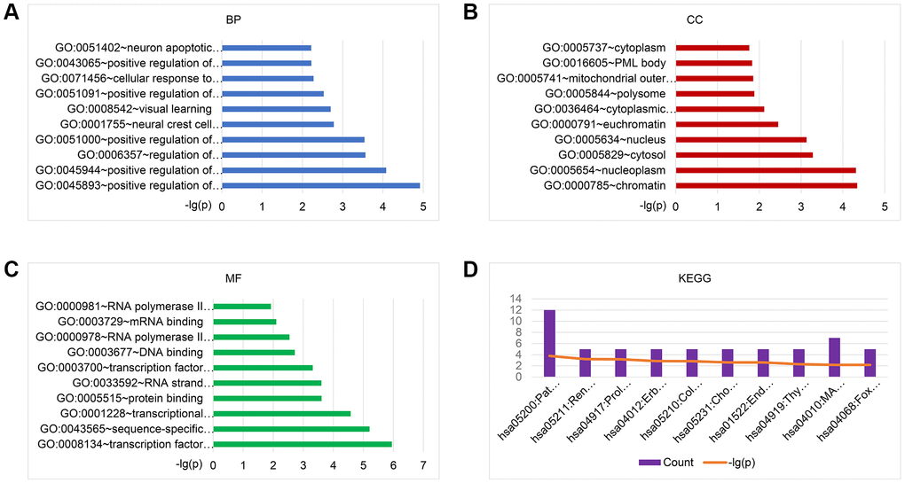 GO and KEGG pathway enrichment analysis of the target genes of 29 exo-miRNAs using the DAVID database. Top 10 significant terms of GO BP (A), CC (B), MF (C), and KEGG pathway (D) enrichment analysis of the target genes. Abbreviations: exo-miRNAs: exosomal miRNAs; BP: biological process; CC: cellular component; MF: molecular function.