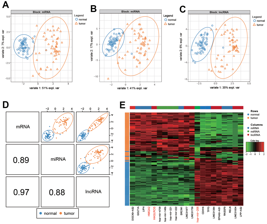 Differential analysis of RNA in PTC and normal cells. (A–C) mRNA, lncRNA and miRNA differentially expressed in PTC and normal tissues. (D). Summary of (A–C). (E) Heat map of differential expression of RNA in PTC and normal tissues.