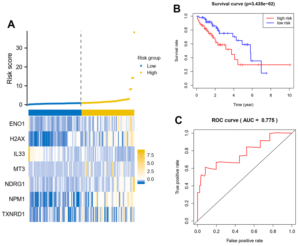 Seven oxidative stress-related genes predict patient prognosis model in test dataset. (A) A signature model for each of the 7 genes was constructed, and the risk score for each patient based on the model was calculated. X axis is number of patients. (B) Survival analysis about patients in the high-risk group and the low-risk group. (C) Analysis of the area under the ROC curve. The signature model based on Cox regression coefficients and gene expression, the riskscore = gene A expression* coefficients A+ gene B expression* coefficients B.