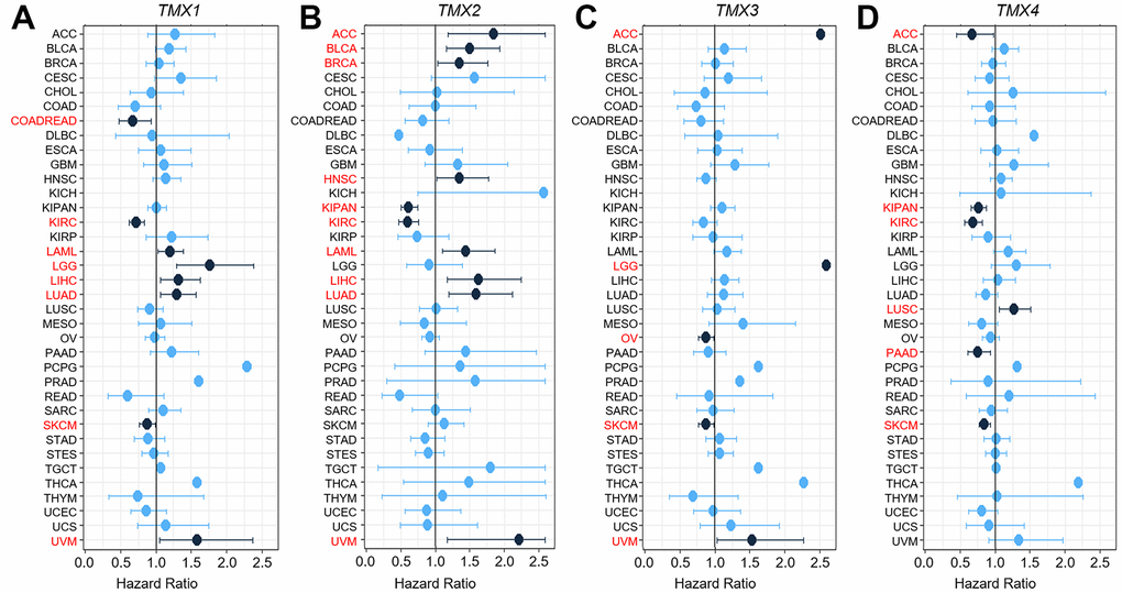 Univariate Cox expression analysis of the relationship between TMX genes expression and OS rate in 36 different tumors. Cox analysis of the correlation with TMX1 expression in different cancer types (A). Cox regression analysis of TMX2 expression in different types of tumors (B). The correlation between Cox analysis and TMX3 expression in different cancer types (C). Cox regression analysis of TMX4 expression in different types of tumors (D). The red words indicates that the gene is a risk factor in the corresponding tumor.