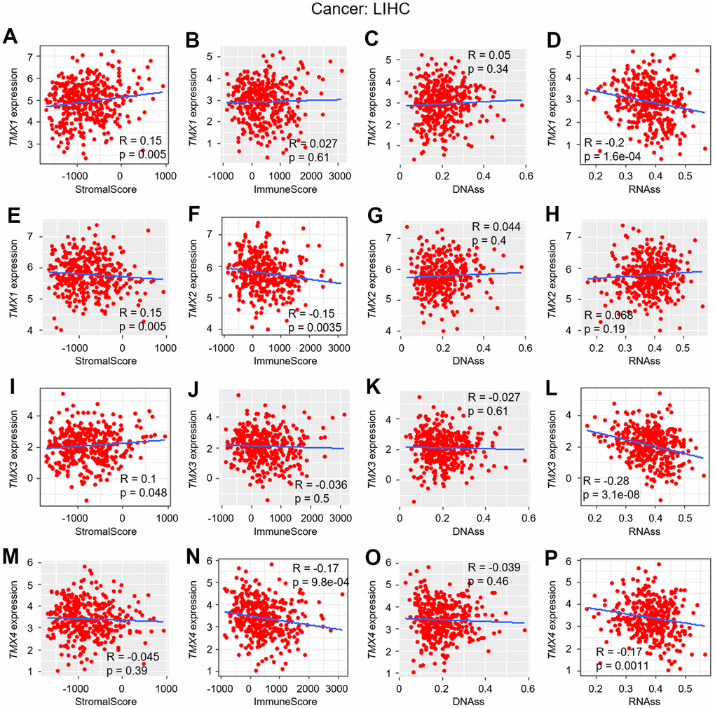 Correlation analysis of TMX family genes expression with TME and stemness score in LIHC. The correlation of TMX1 expression with stromal score (A), immune scores (B), DNAss (C), and RNAss (D). TMX2 expression correlated with stromal score (E), immune scores (F), DNAss (G), and RNAss (H). The correlation of TMX3 expression with stromal score (I), immune scores (J), DNAss (K), and RNAss (L). TMX4 expression correlated with stromal score (M), immune scores (N), DNAss (O), and RNAss (P). Gray brown background indicates no correlation between the gene expression and the corresponding index (p >0.05). Light background indicates that the gene is significantly correlated with the corresponding index (p 0 means positive correlation, R 