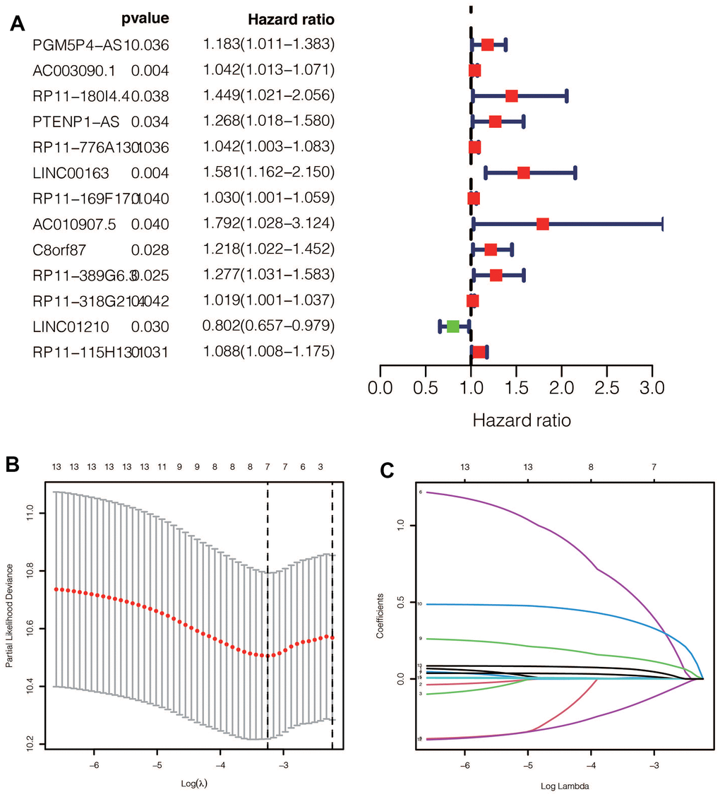 (A) After univariate Cox regression, 11 prognostic related ginlncRNAs were obtained, of which 10 were deleterious genes and one was protective gene. (B, C) Lasso regression results showed that when the best lambda value was 0.01149079, the following curve tended to be stable, and 7 lncRNAs were selected for the model construction.