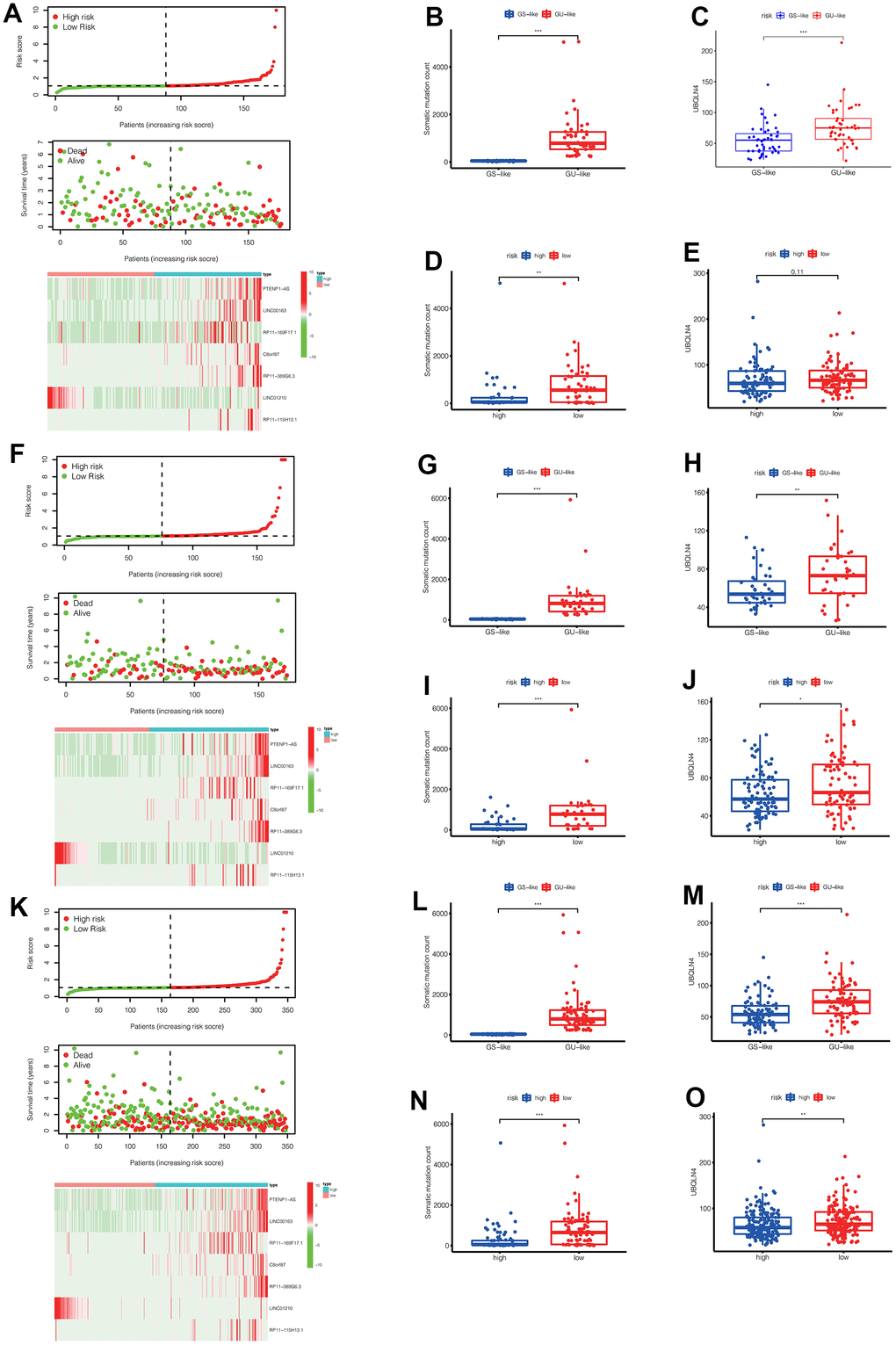 (A) In the training set, we can see the distribution of patient survival and death as the risk score increased, as well as the heat map of lncRNAs expression in the high-risk and low-risk groups. (B, C) In the training set, the number of somatic mutations and the expression of UBQLN4 gene were different between the GS-like group and the Gu-like group (** ppD, E) In the training set, the number of somatic mutations and the expression of UBQLN4 gene were different between the high-risk group and the low-risk group (** ppF) In the validation set, we can see the distribution of patient survival and death as the risk score increased, as well as the heat map of lncRNAs expression in the high-risk and low-risk groups. (G, H) In the validation set, the number of somatic mutations and the expression of UBQLN4 gene were different between the GS-like group and the Gu-like group (** p pI, J) In the validation set, the number of somatic mutations and the expression of UBQLN4 gene were different between the high-risk group and the low-risk group (** p p K) In the entire set, we can see the distribution of patient survival and death as the risk score increased, as well as the heat map of lncRNAs expression in the high-risk and low-risk groups. (L, M) In the entire set, the number of somatic mutations and the expression of UBQLN4 gene were different between the GS-like group and the Gu-like group (** pp N, O) In the entire set, the number of somatic mutations and the expression of UBQLN4 gene were different between the high-risk group and the low-risk group (** p p 