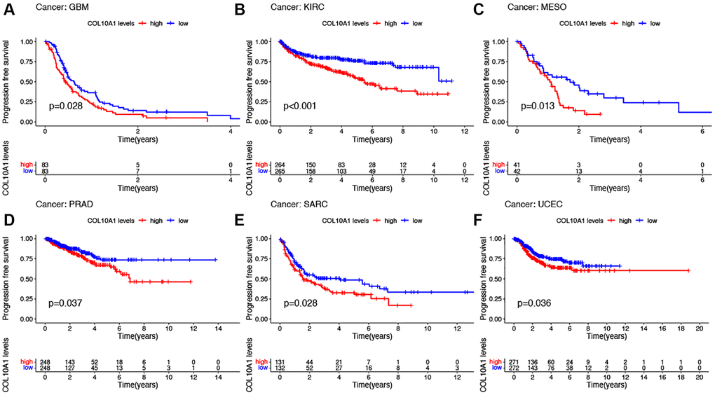 Kaplan–Meier survival analyses of the prognostic value of COL10A1 expression level for PFS in different cancer types. PFS according to high and low expression of COL10A1 in GBM, KIRC, MESO, PRAD, SARC and UCEC from the TCGA database (A–F).