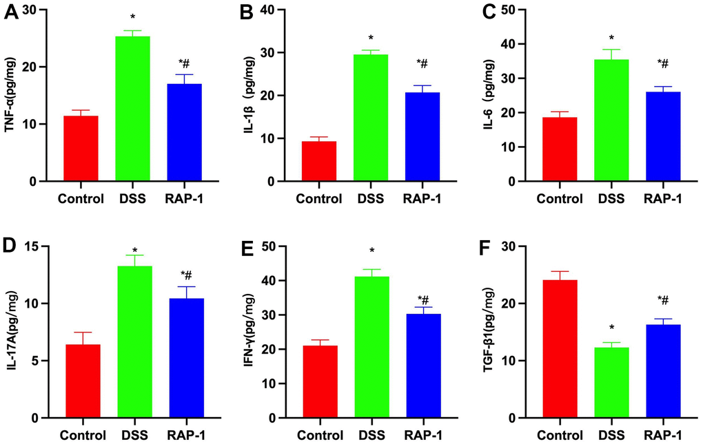 Changes in inflammatory cytokine expressions (n= 10). (A–F) RAP1 could lower the tissue levels of inflammatory cytokines and elevate the TGF-β1 level. *P