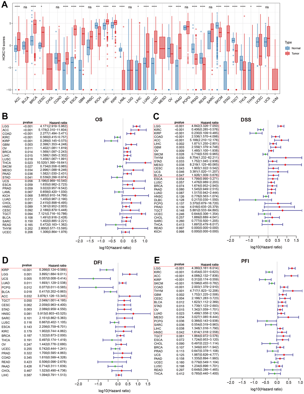 Abnormal expression of HOXC10 and its relevance with clinical prognosis. (A) Expression levels of HOXC10 between tumor and normal tissues. (B–E) Forest plot showed the correlations of HOXC10 with clinical prognosis by univariate Cox regression: OS, DSS, PFI and DFI.