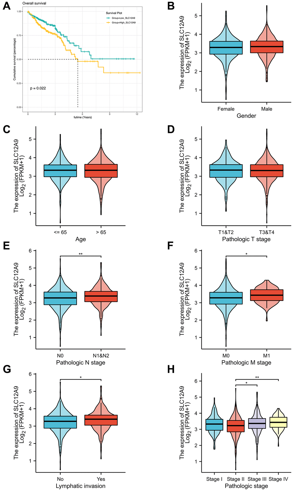 Prognostic and clinical correlation analysis of SLC12A9 gene. (A) Survival analysis showed that high expression of SLC12A9 was associated with poor prognosis in colorectal cancer. (B–D) There were no significant abnormalities in SLC12A9 expression based on gender, age, and T stage of the patients. (E–H) SLC12A9 expression was up-regulated in patients with N1&N2 compared to N0 patients (p SLC12A9 was elevated in M1 patients compared to M0 patients (p SLC12A9 expression was higher in patients with lymph node metastasis compared to those without, and it was also higher in Stage III and Stage IV patients compared to Stage II patients (p 